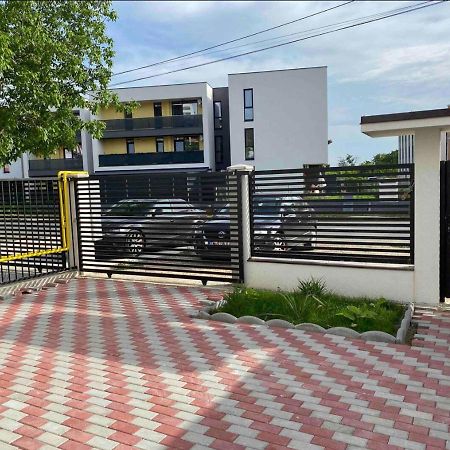 Cozy Apartament With 2Rooms Тимишоара Экстерьер фото
