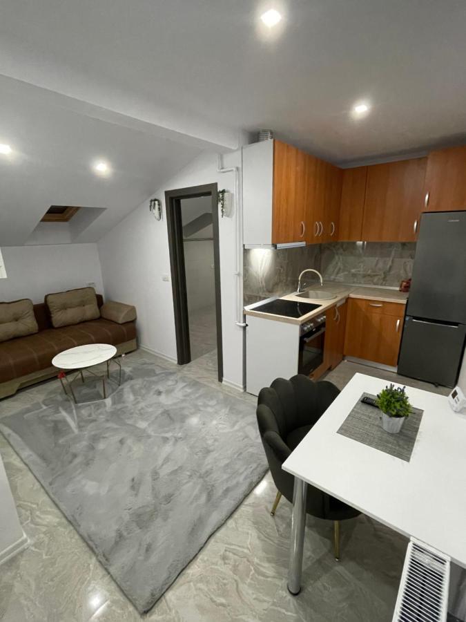 Cozy Apartament With 2Rooms Тимишоара Экстерьер фото